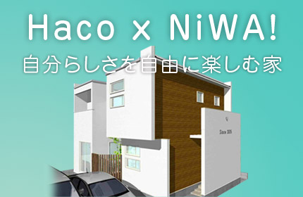 Haco x NiWA!